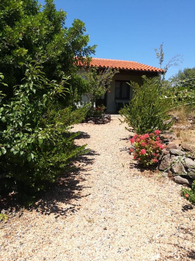 Agriturismo Su Birde 奥罗塞伊 外观 照片
