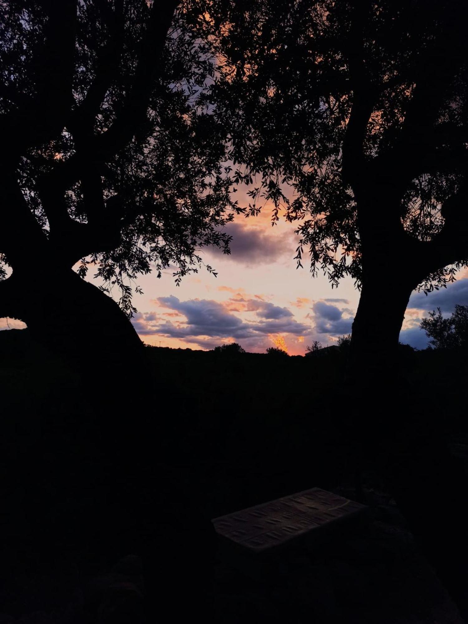 Agriturismo Su Birde 奥罗塞伊 外观 照片