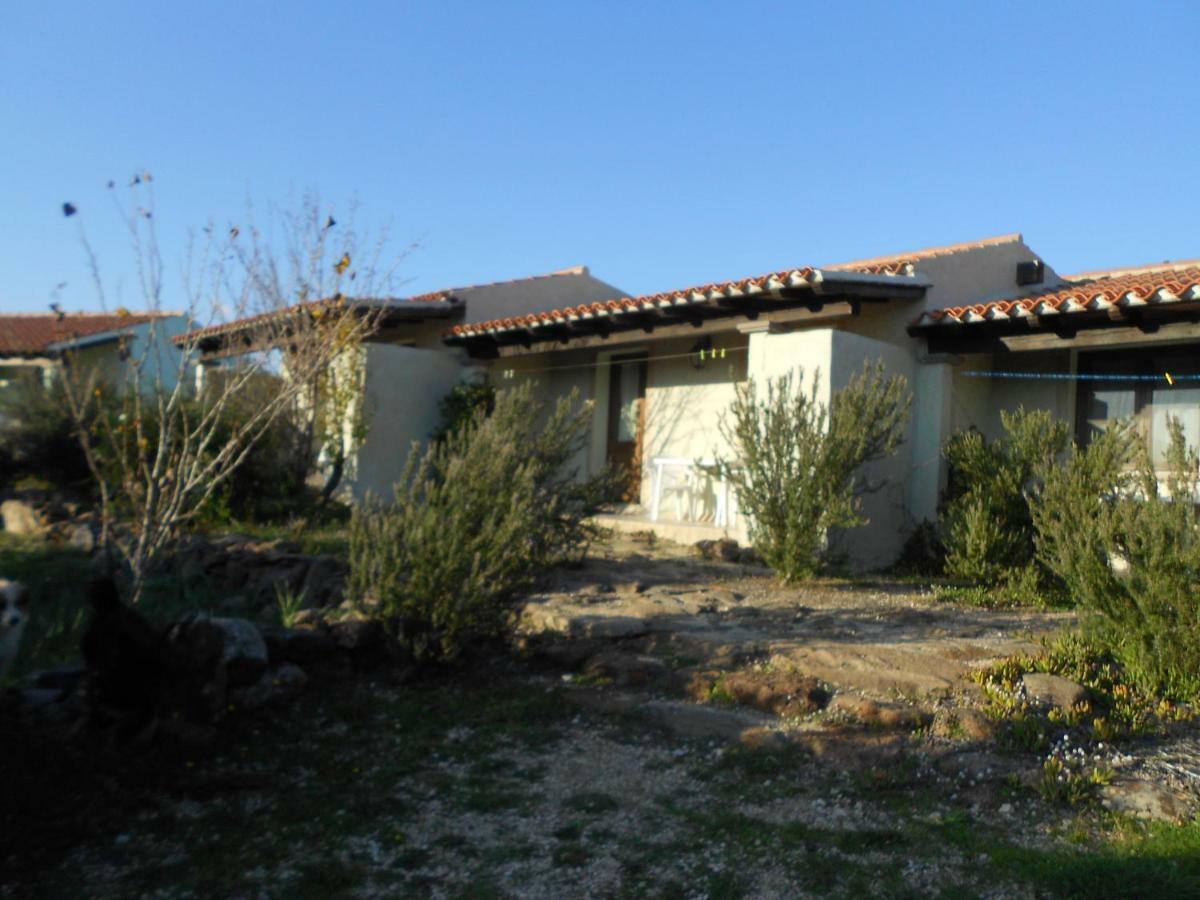 Agriturismo Su Birde 奥罗塞伊 外观 照片